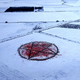 Illustration for article titled Authorities Swiftly Announce 1,600 Washington Dairy Cows Found Mutilated, Arranged In Pentagram Killed By Blizzardem/em